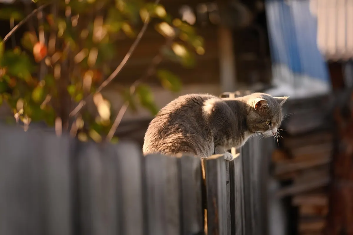 How to Host a Neighborhood Block Party in Somerset: Permits, Insurance, and Invitations