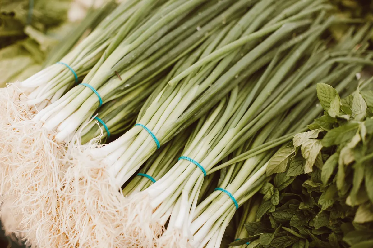 Somerset Farmers Market Guide: What's in Season Month by Month